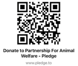 PAW Pledge QR Code