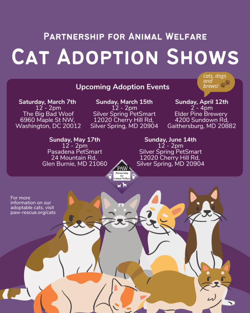 Cat Shows (March - June) (1)